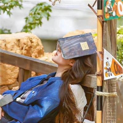 轮椅大佬娶我做娇妻